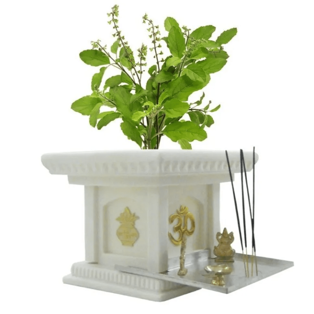 Tulsi ji Aarti Sangrah