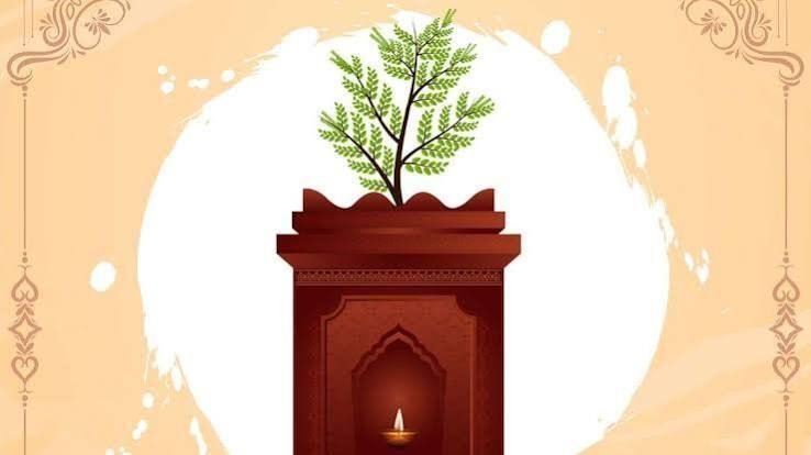 Tulsi Puja 2026: Puja Vidhi, Auspicious Time, Religious Significance, Rules and Benefits | AstroSane