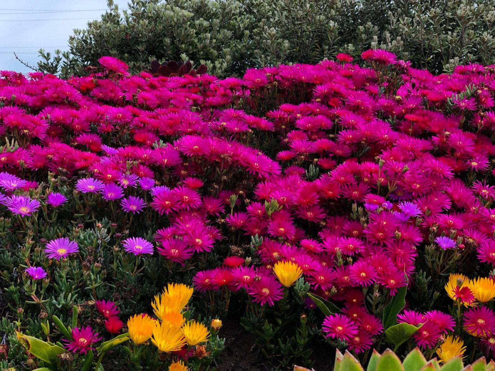 test123