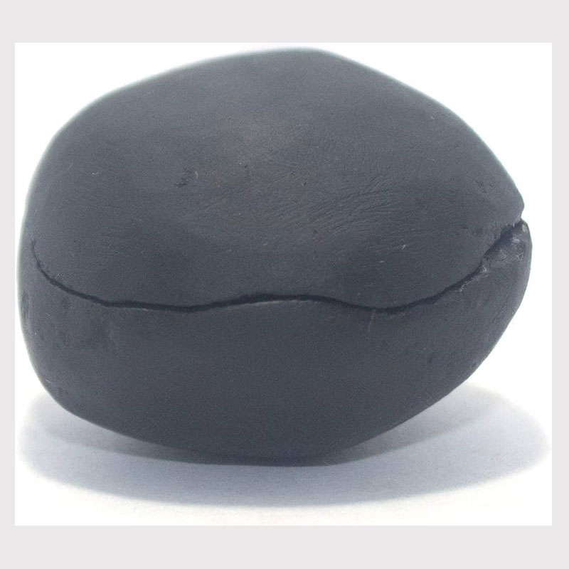 Real Maha Sudarshan shaligram : 1.5" - 2.5"